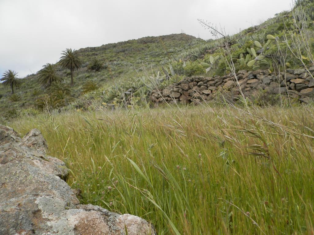 Wanderung von Arure nach  El Cercado, Calera